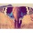 Avatars-000006391072-ooursa-badge