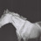 Avatars-000006448318-n5gquj-badge
