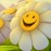 Avatars-000006509931-lp283d-badge
