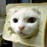 Avatars-000006515097-ayxjqn-badge