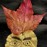 Avatars-000006802713-jar1hw-badge