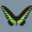 Avatars-000006966234-ukg0zd-badge