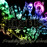 Avatars-000006991681-tc6yjy-badge