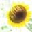 Avatars-000007489701-m809pl-badge