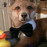 Avatars-000007648945-fto91i-badge