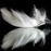 Avatars-000007658991-7m1m88-badge