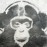 Avatars-000008027823-suebvg-badge