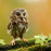 Avatars-000008331966-o8uwbf-badge