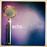 Avatars-000008824421-v9mpno-badge