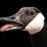 Avatars-000009434244-k8r4pt-badge