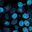 Avatars-000010008797-ck0wnp-badge