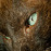 Avatars-000010020015-9zkk1o-badge