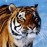 Avatars-000010149384-5lt6ph-badge