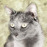 Avatars-000010798475-of8gm1-badge