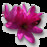 Avatars-000011091321-xoghbr-badge