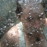 Avatars-000011516688-k2sabn-badge