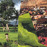Avatars-000011552339-blfzez-badge