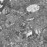 Avatars-000011795152-4e05ef-badge