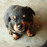 Avatars-000012316186-q9ngjo-badge