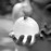 Avatars-000012383032-pa8zyy-badge