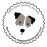 Avatars-000012650030-vwdeza-badge
