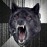 Avatars-000012751407-nnm3g9-badge