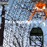 Avatars-000012807833-carby5-badge
