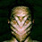 Avatars-000012887820-rktgvo-badge