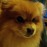Avatars-000013315596-wtoiq5-badge