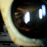 Avatars-000013327637-qm8d1j-badge