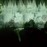 Avatars-000013517163-6hylth-badge