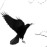 Avatars-000013616653-1234iv-badge