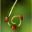 Avatars-000014258131-klhgyr-badge
