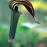 Avatars-000015376468-ia9vi2-badge