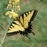 Avatars-000015914045-6d6awu-badge