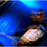 Avatars-000016040796-s9pdl2-badge