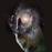 Avatars-000016148314-8knrn3-badge