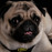Avatars-000016641401-5yubrw-badge