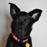 Avatars-000016761365-ygdxyu-badge