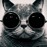 Avatars-000017065229-r82x24-badge