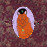 Avatars-000017184544-ygcb7l-badge