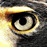 Avatars-000017346134-dcelan-badge