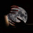 Avatars-000017681666-xw9s2e-badge