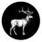 Avatars-000018648541-vri5vr-badge