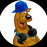 Avatars-000019048598-ffwget-badge