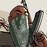 Avatars-000019274232-4ee2zo-badge