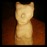 Avatars-000019907120-z7tvxs-badge