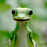 Avatars-000020030254-o309ks-badge