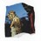 Avatars-000020447971-ujndab-badge