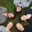 Avatars-000020611023-b2wkeb-badge